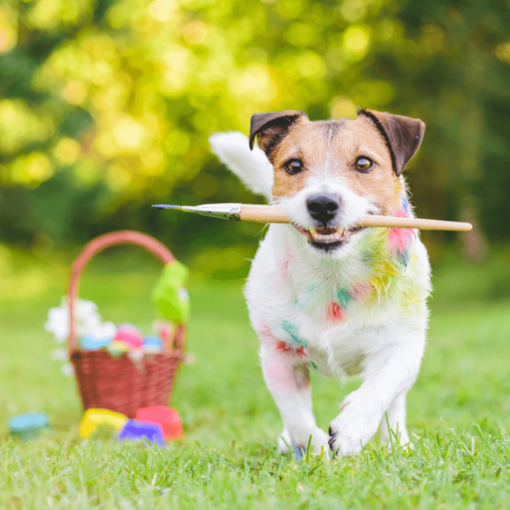A playful Jack Russell Terrier with colorful paint on its fur runs across a grassy yard holding a paintbrush in its mouth, with a basket of Easter eggs in the background.