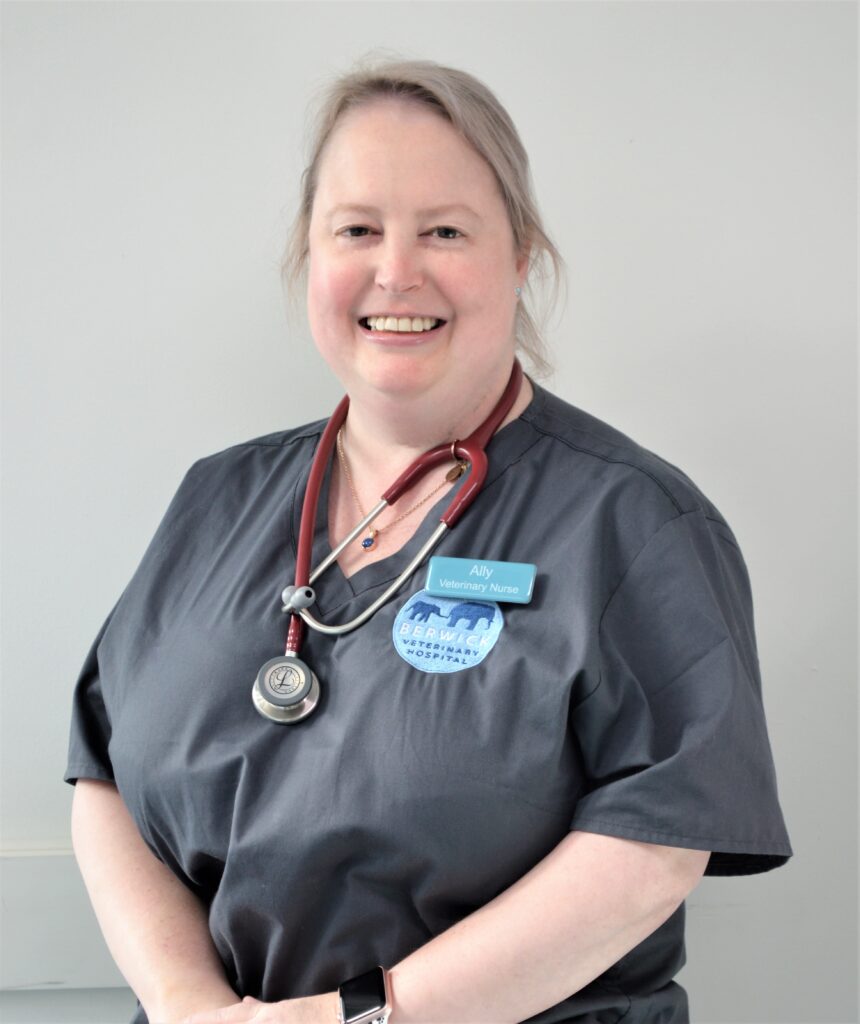 Smiling veterinary nurse wearing scrubs and a stethoscope, representing Nurse Ally’s top puppy training tips.