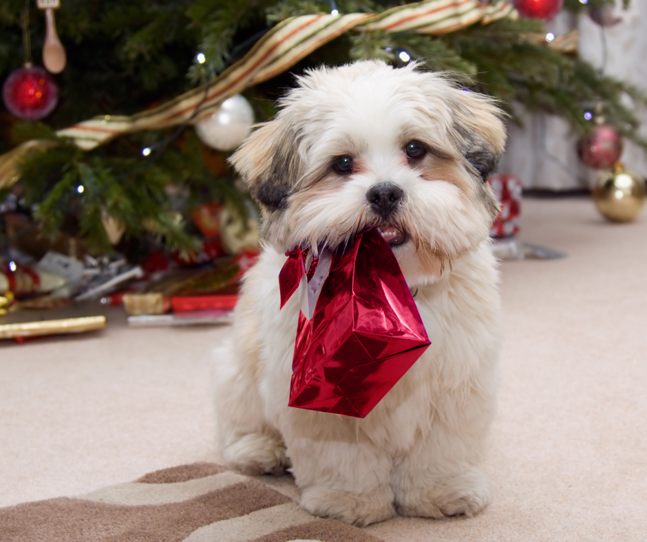 A fluffy dog sits near a decorated Christmas tree, playfully holding a shiny red gift bag in its mouth, capturing the festive spirit while reminding pet owners to keep holiday hazards in mind.