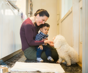 Introducing a new pet to your home