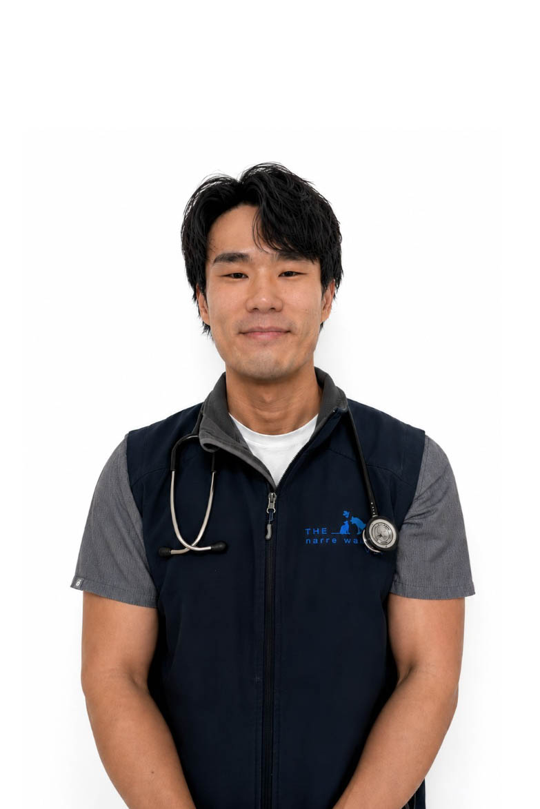 Dr Vincent, Lead Veterinarian at Narre Warren Veterinary Clinic